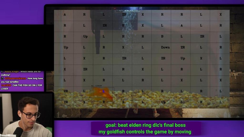 真神陨落 那条击败了《黄金树幽影》最终BOSS的金鱼去世了