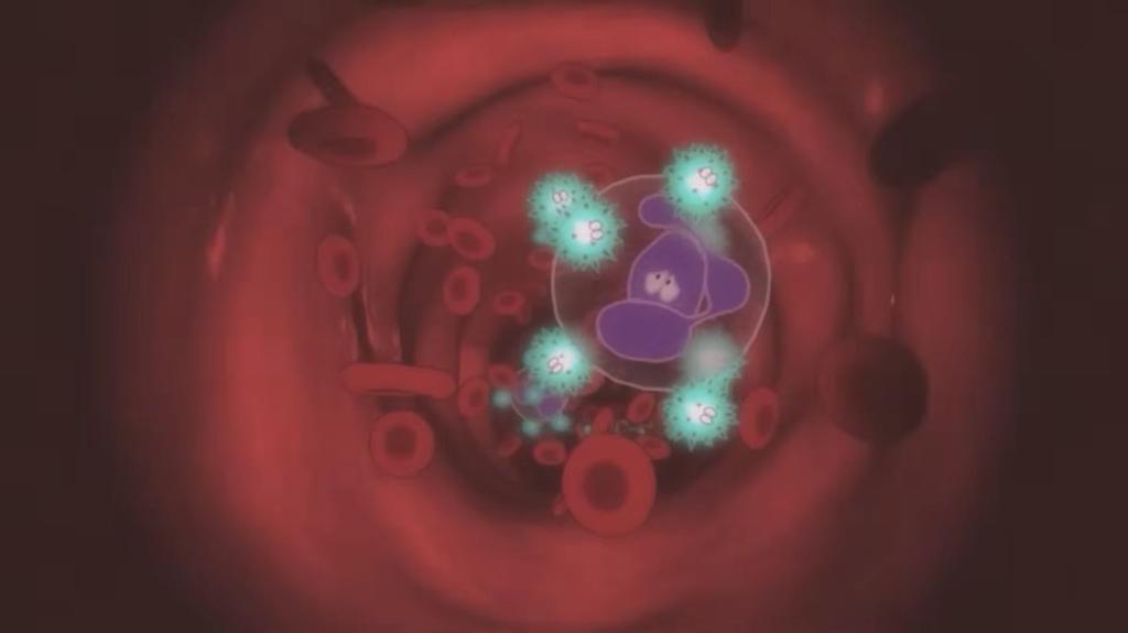 须田刚一《罗密欧是个绝命侠》发布全新开场预告