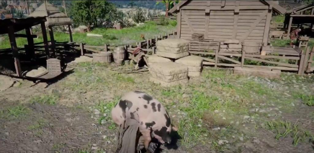 《红色沙漠》更多游戏玩法曝光 可建造家园种地养猪