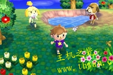 来吧！动物森友会 Amiibo+-3DS