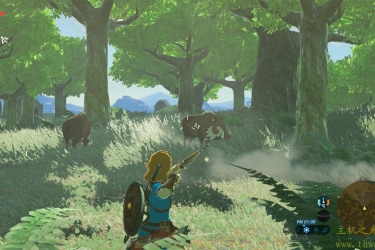 塞尔达传说 旷野之息 官方中文 本体+1.6.0+2DLC