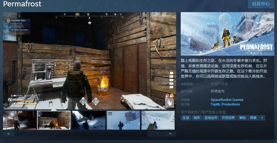 寒冬生存游戏《永冻纪元》Steam页面 发售日待定