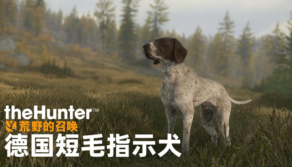 《猎人：荒野的召唤》三款全新DLC和免费更新 已登陆PlayStation、Xbox和PC